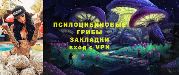 прущая мука Арсеньев