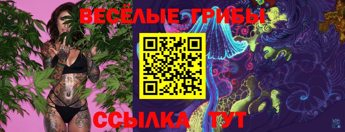 Галлюциногенные грибы прущие грибы Новый Уренгой