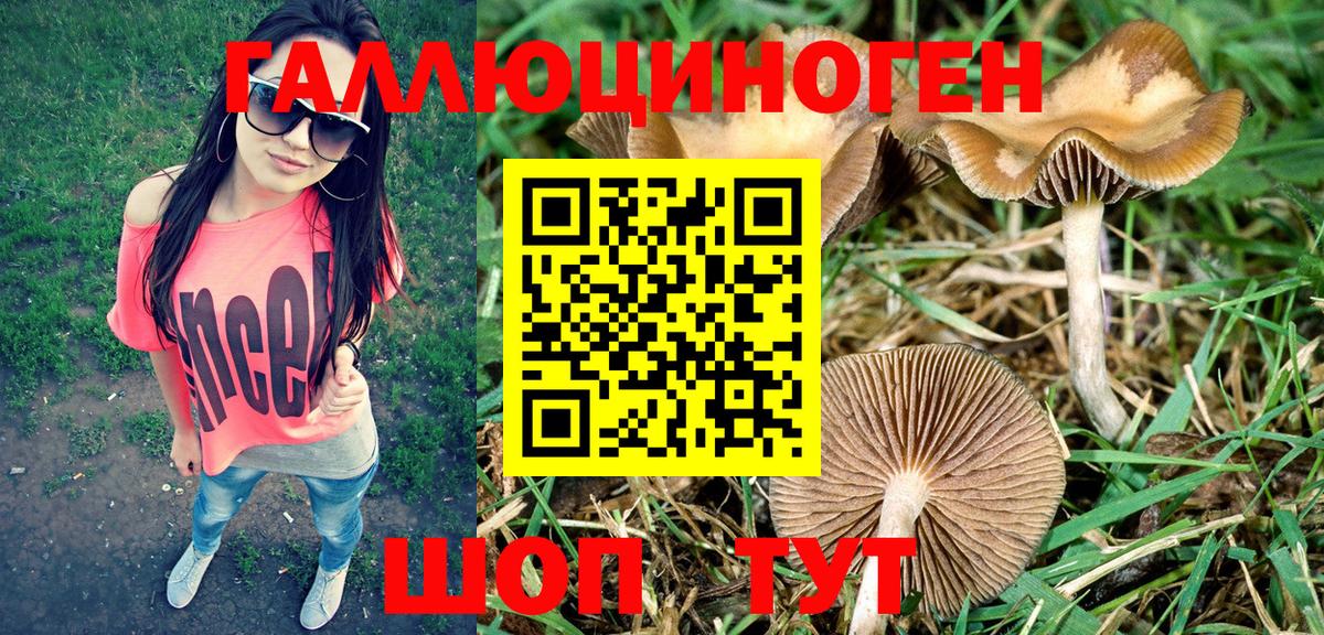 Галлюциногенные грибы Cubensis  Вход с VPN  Новый Уренгой 
