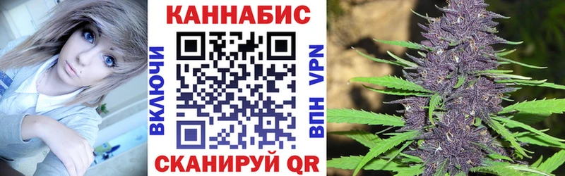 Конопля сатива дарнет шоп Новый Уренгой
