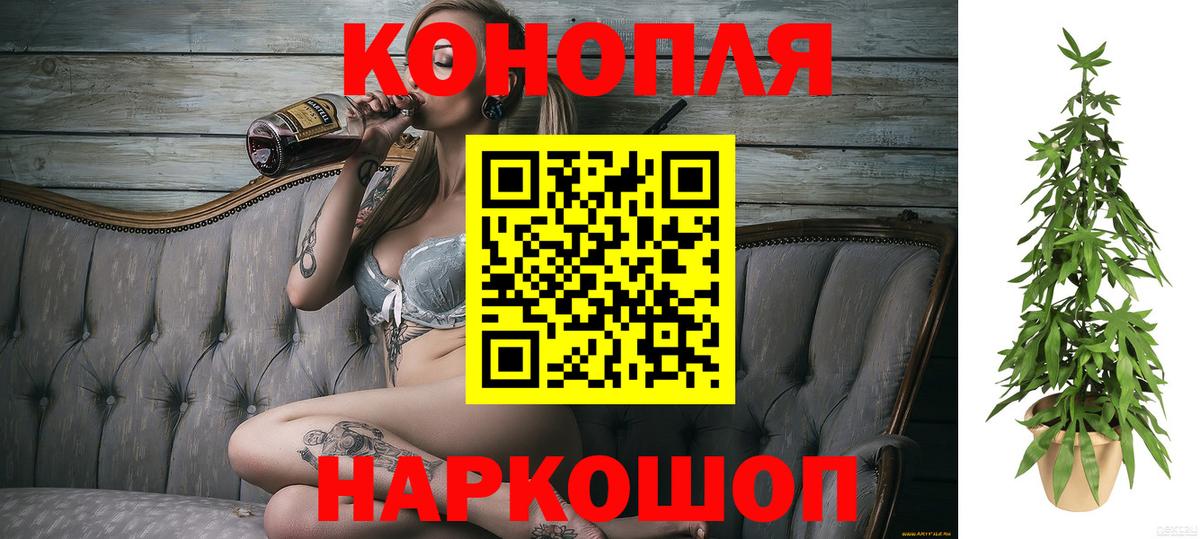 Канабис семена Новый Уренгой